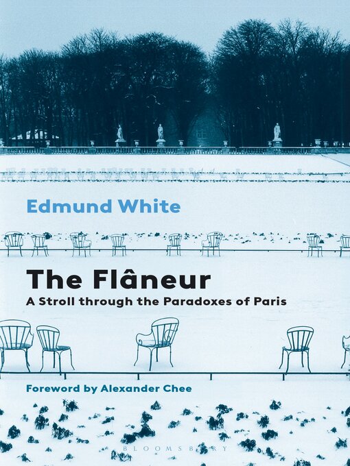 Cover image for The Flaneur